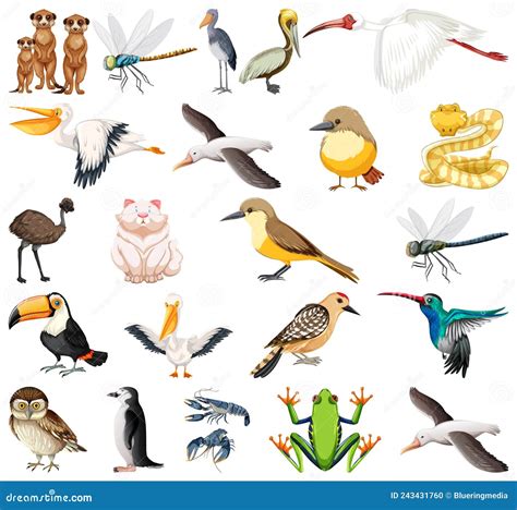 air animals drawing